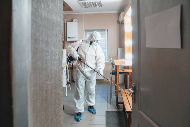 Best Black Mold Removal  in Northglenn, CO